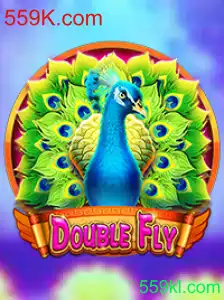Explorando DoubleFly: Uma Aventura e Seus Desafios Recentes